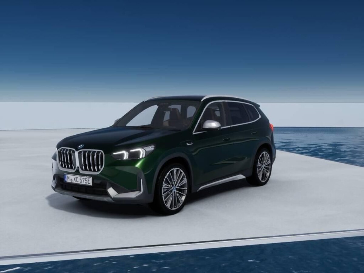 Live Vehicle - BMW X1 (U11) Betriebsanleitung (Seite 146